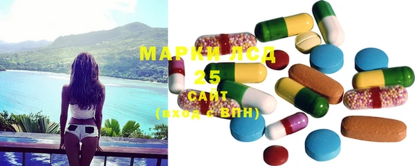 шишки Чегем