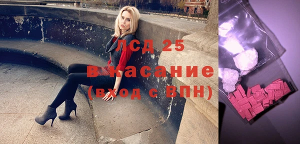 шишки Чегем