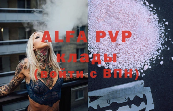 шишки Чегем